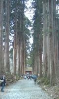 05_nagano20101119.jpg