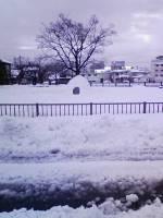 02_urawa20110114_2.jpg