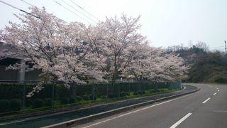 201404111735_25699.jpg